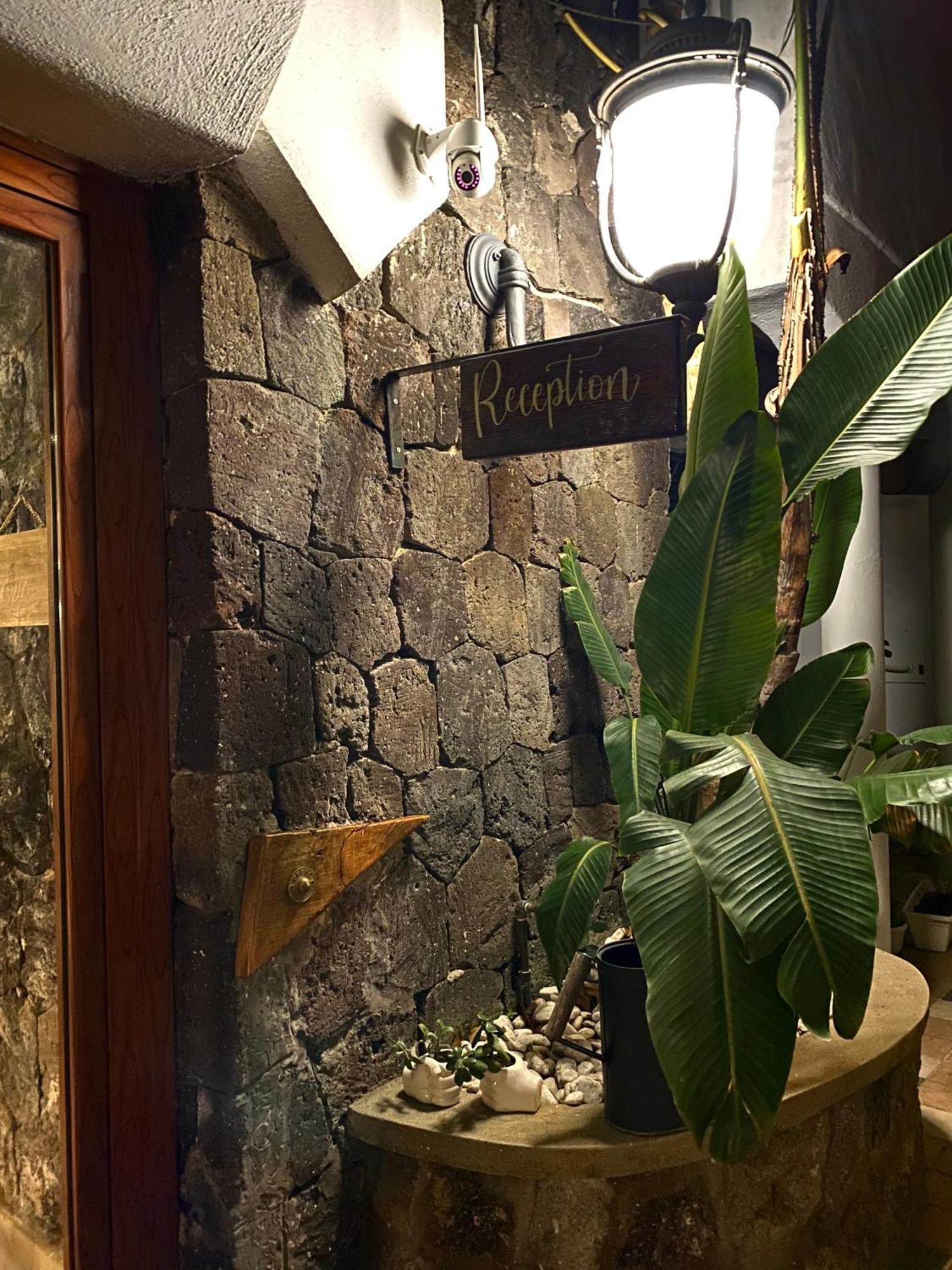 Hotel Black Market Ísquia